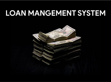 Loan management system